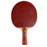 ракетка для н/т donic testra off