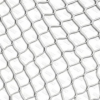 сетка для футбольных ворот 5х2 м, нить d=4 мм glav 15.209