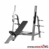 скамья для жима штанги наклонная pangolin 5021