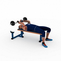 скамья для французского жима armafort 366.01.01