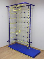 дск "пионер-8с"