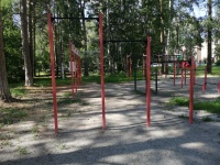 турник уличный трёхуровневый с разноуровневыми перекладинами apolonsport